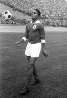 /album/eusebio-a-lenda-/transferir-3-jpg/